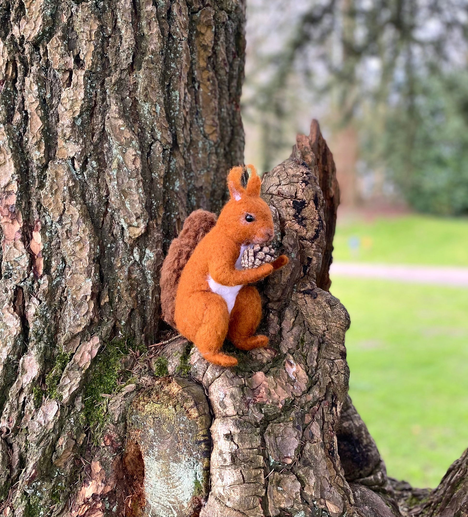 Felting Kit - Red Squirrel Needle Felt Kit-2